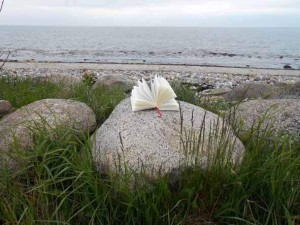 Foto eines aufgeschalgenen Buches auf einem Felsen am Meer
